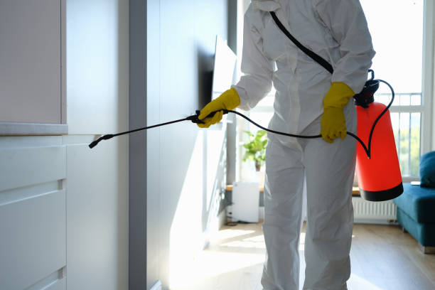 Best Office Mold Removal Services  in Norris, TN